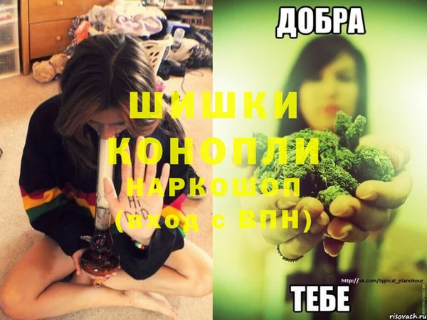 а пвп мука Богданович