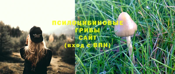 а пвп мука Богданович