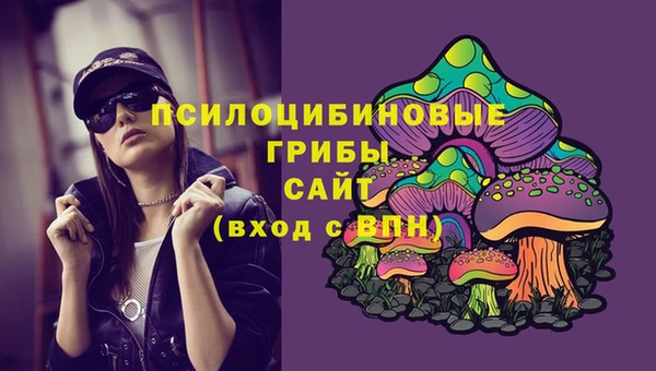 Альфа ПВП Богородицк