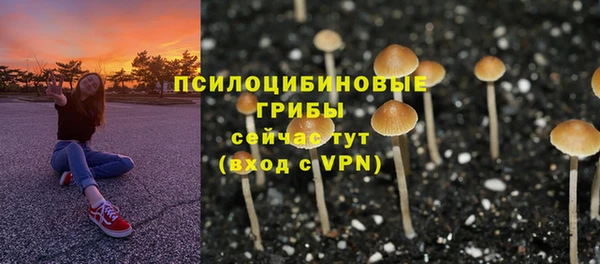 первитин Белокуриха