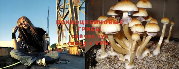 первитин Белокуриха