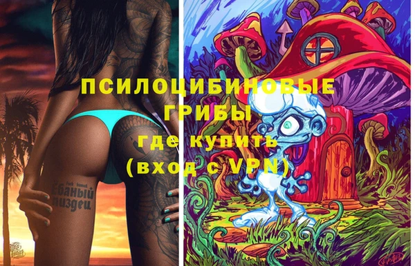 Альфа ПВП Богородицк