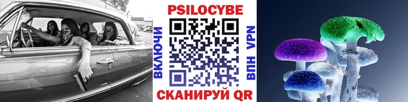 Псилоцибиновые грибы Cubensis  Яранск 